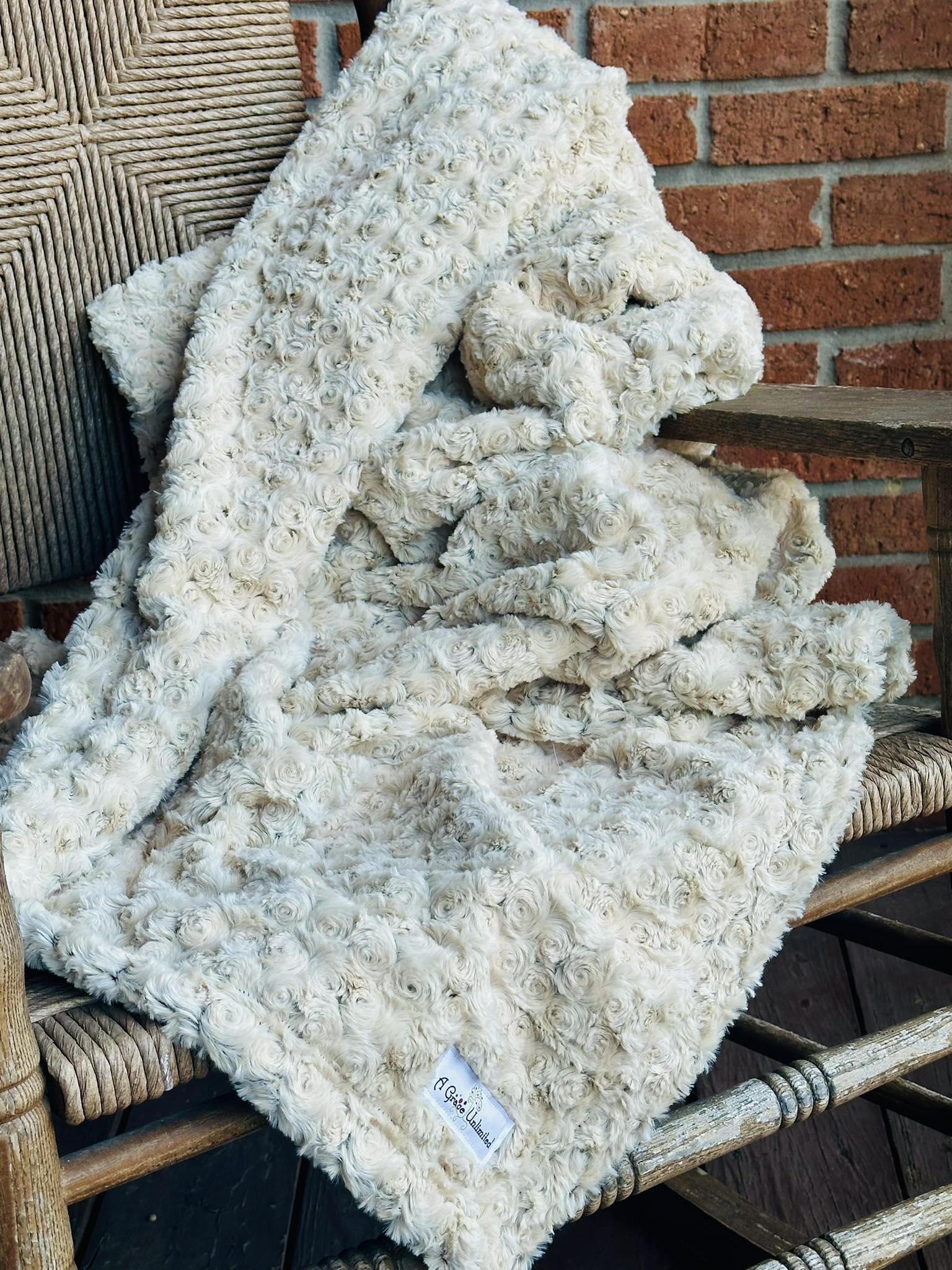 Frosted Rose Minky Blanket